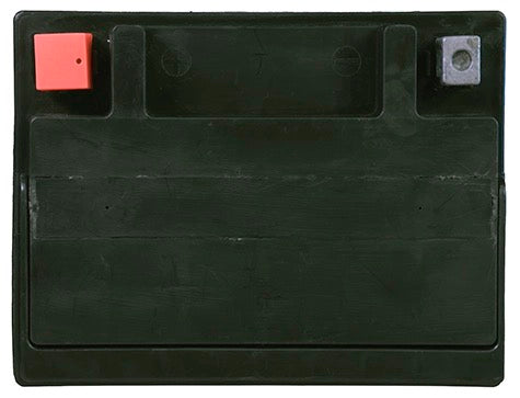 Interstate FAITX30L-PW battery