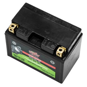 Interstate FAITZ14S 12 Volt AGM Power Sport Battery (Group MC) CORE FEE Included!